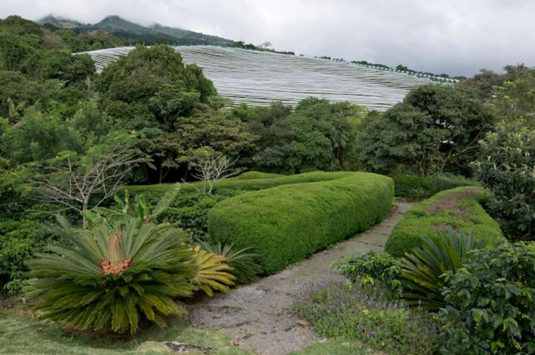 Apartament Coffee Garden Ranch Costa Rica Concepcion  Zewnętrze zdjęcie