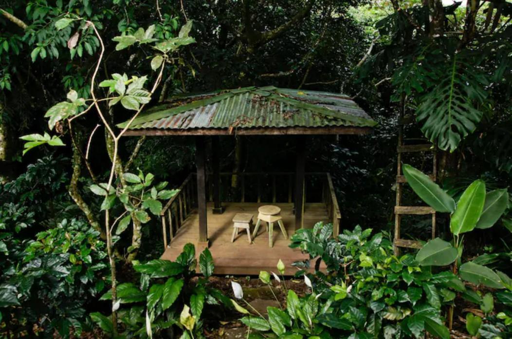 Apartament Coffee Garden Ranch Costa Rica Concepcion  Zewnętrze zdjęcie