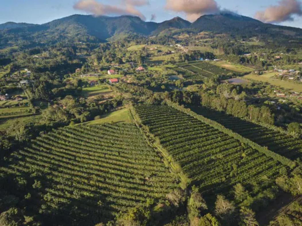 Apartament Coffee Garden Ranch Costa Rica Concepcion  Zewnętrze zdjęcie