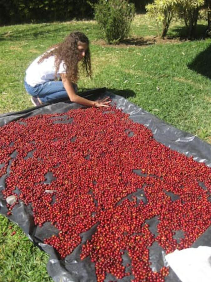 Apartament Coffee Garden Ranch Costa Rica Concepcion  Zewnętrze zdjęcie