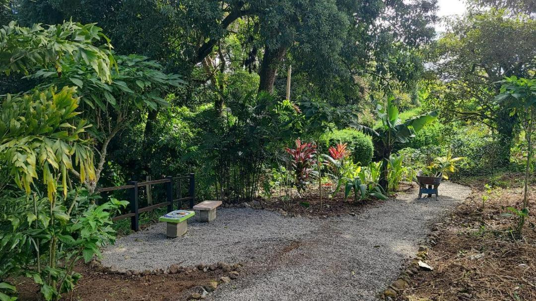 Apartament Coffee Garden Ranch Costa Rica Concepcion  Zewnętrze zdjęcie