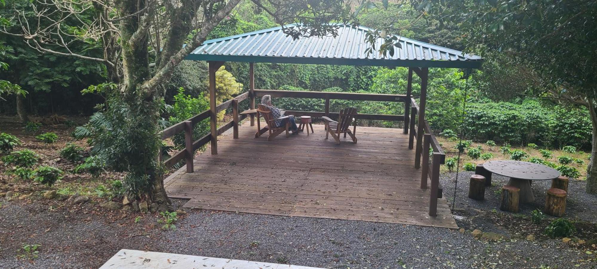 Apartament Coffee Garden Ranch Costa Rica Concepcion  Zewnętrze zdjęcie